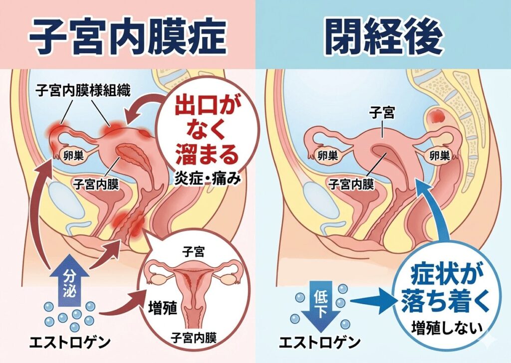 横須賀えびの治療院【鍼灸院】